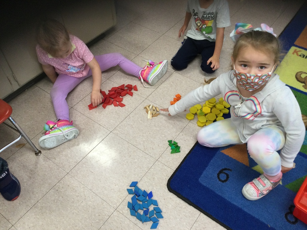 Pre-K Sorting by Color, Shape, and Size!