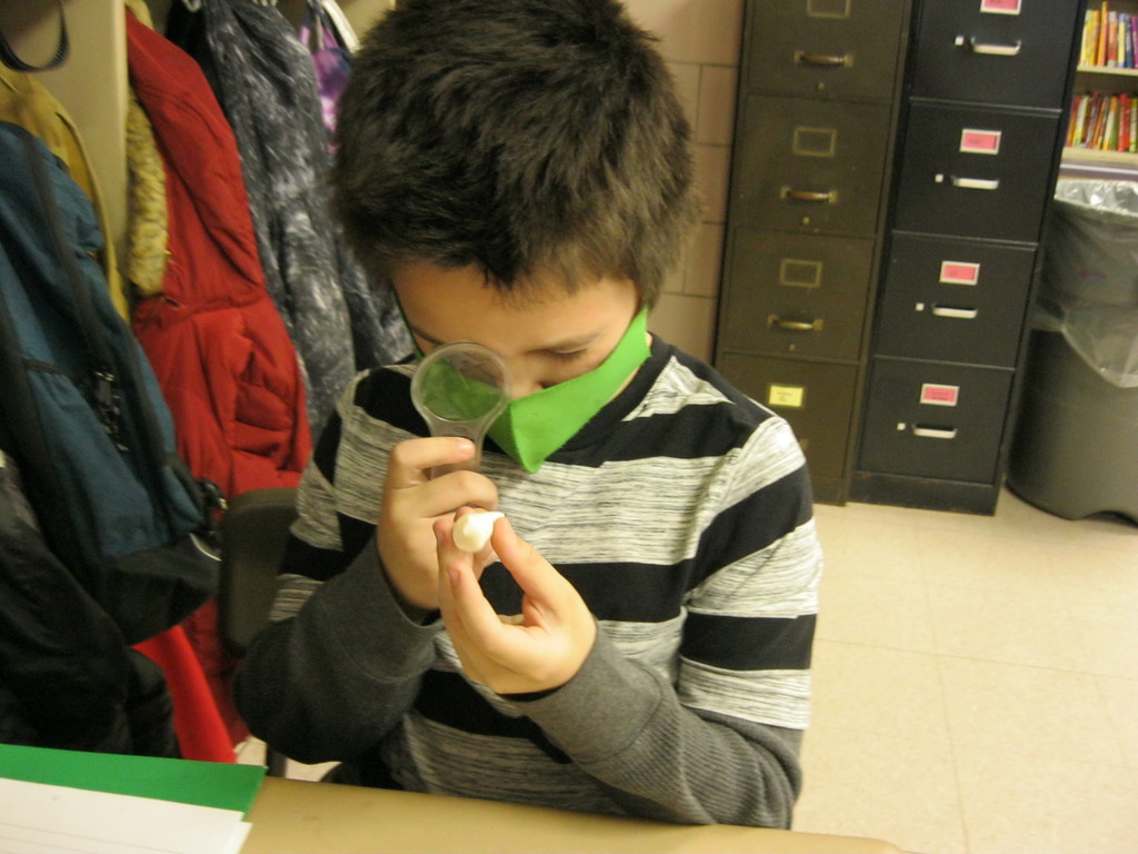 Making an observation using a magnifying glass