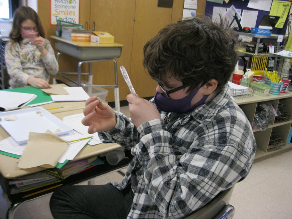 Making an observation using a magnifying glass